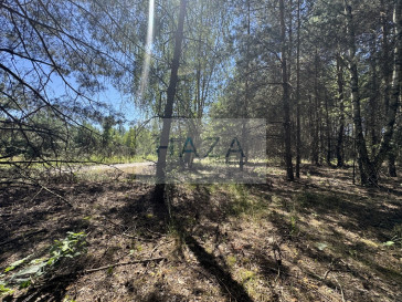 Działka Sprzedaż Adamów-Parcel Ogarów Polskich