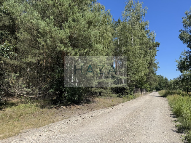 Działka Sprzedaż Adamów-Parcel Ogarów Polskich 2