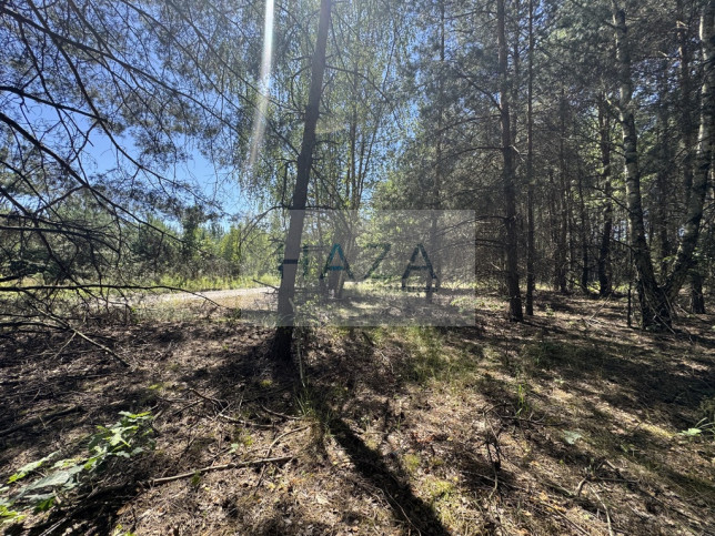 Działka Sprzedaż Adamów-Parcel Ogarów Polskich 4